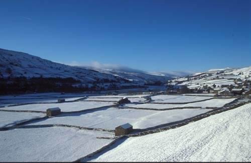 Farm Images